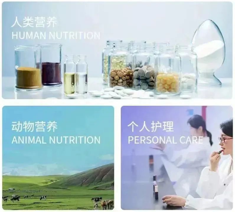 williamhill官网
：从食品生物科创板“第一股”到合成生物学研发型上市公司